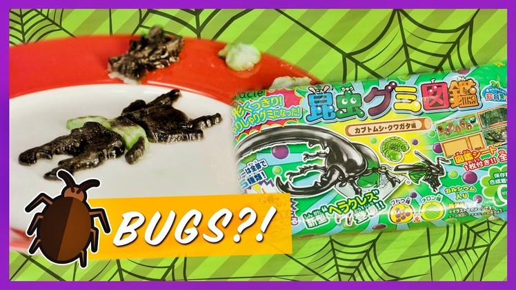 Kracie Beetle Gummy Candy Kit | Kawaii Cookin | Strawburry17