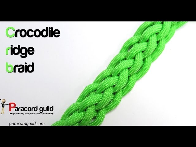 6 strand crocodile ridge braid