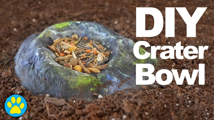 DIY Crater Food Bowl