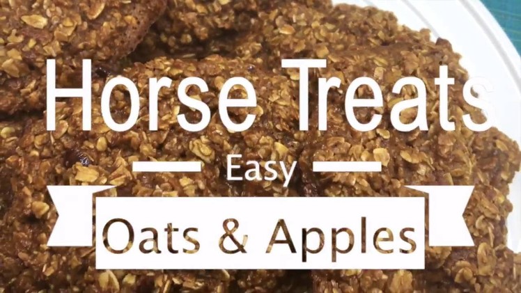 DIY Easy Horse Treats