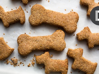 How to make.  Dog Biscuits! Feat. MAX THE DOG!