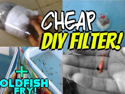 DIY cheap air driven filter + moving goldfish fry outdoors!