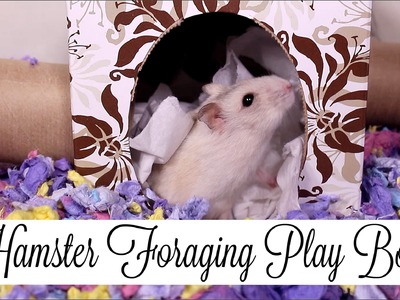 DIY Hamster Foraging Play Box