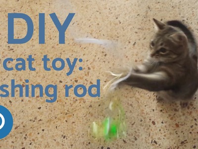 DIY Fishing Rod - DIY Easy Cat Toys