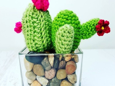 Easy to Crochet Cactus . Cacti