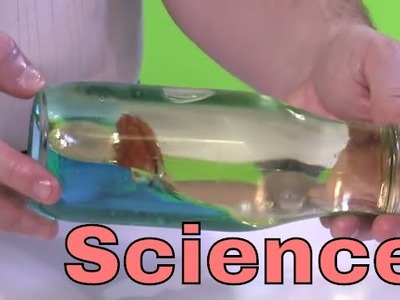 Make an DIY Ocean in a Bottle! - Science Experiment Easy and Fun!