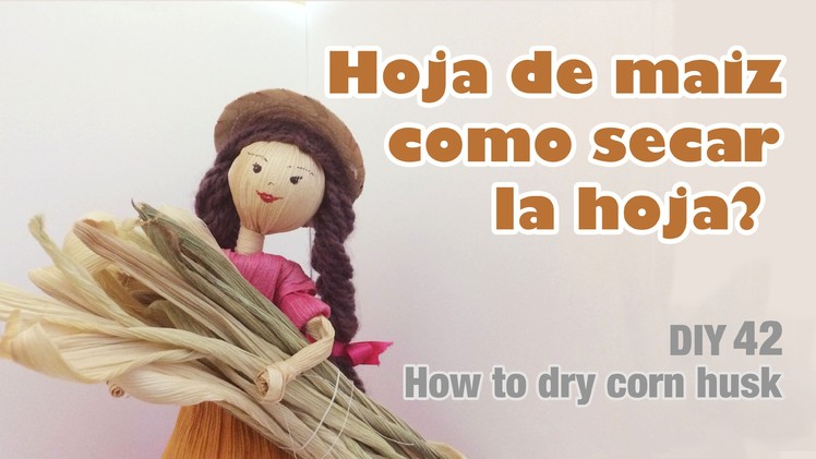 Como secar la hoja de maíz 42. how to dry corn husk home process