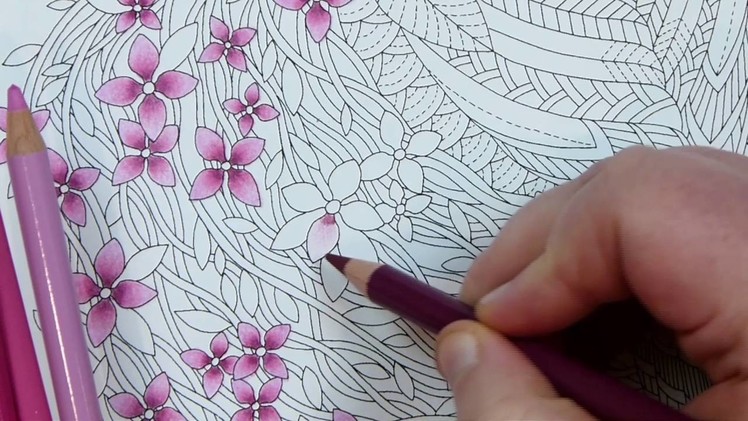 How to colour in cherry blossoms with colouring pencils ⎮ Colour pencil blending