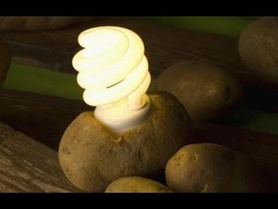 How to get electricity from potato 
