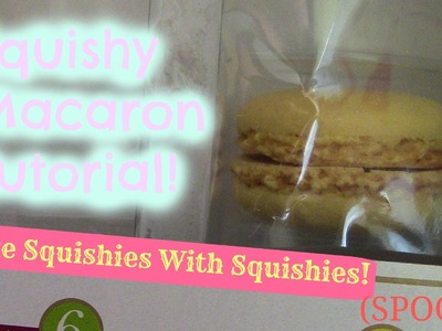 How To Make A Squishy Macaron! | Make Squishies With Squishies! (SPOOF!)