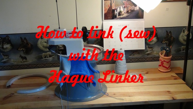 How to use the Hague Linker