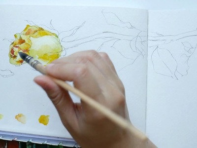 Part 2: How to draw and paint a rose