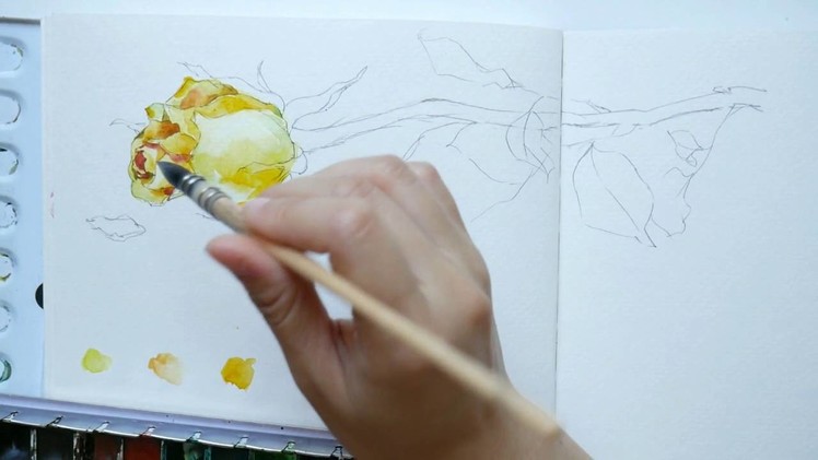 Part 2: How to draw and paint a rose