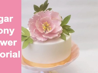 SUGAR FLOWERS: How to make open sugar peony flower and leaves tutorial by Busi Christian-Iwuagwu
