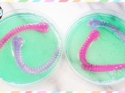 GUMMY WORM PETRI DISHES, HOW TO MAKE GUMMY WORMS - SUGARCODER