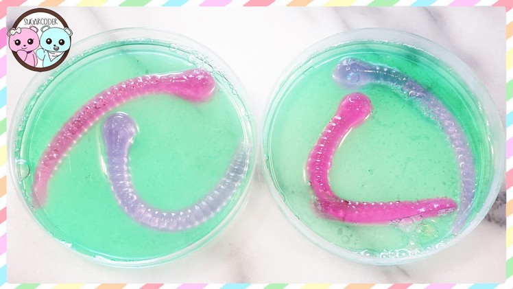 GUMMY WORM PETRI DISHES, HOW TO MAKE GUMMY WORMS - SUGARCODER