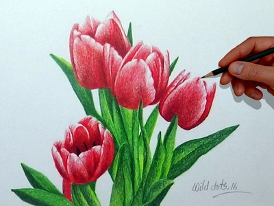 How To Draw A Flower With Simple Colored Pencils - Tulip |