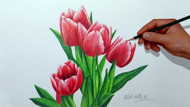 How To Draw A Flower With Simple Colored Pencils - Tulip |