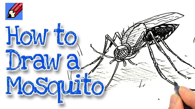 How to Draw a Mosquito Real Easy