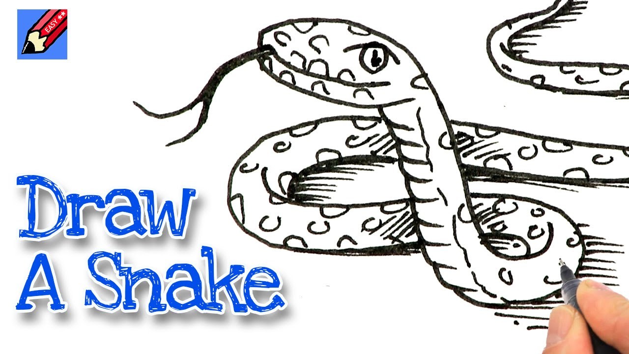 How to draw a snake