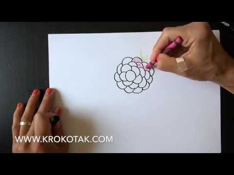 How to draw  raspberry, blackberry, grapes