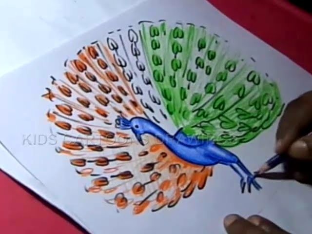 How to Draw Simple Easy Peacock Drawing For kids Step by Step