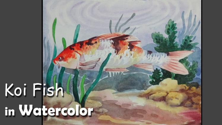 How to Paint A Koi Fish in Watercolor