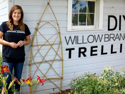 Make Your Own Willow Branch Trellis--it's DIY Time!