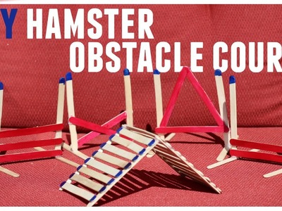 DIY HAMSTER OBSTACLE COURSE 