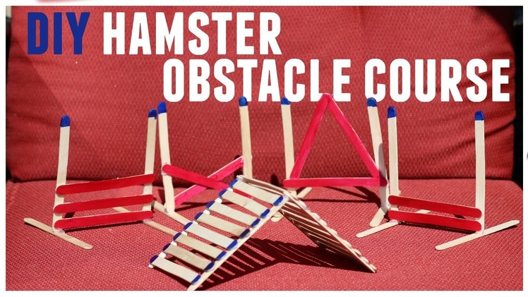 DIY HAMSTER OBSTACLE COURSE 