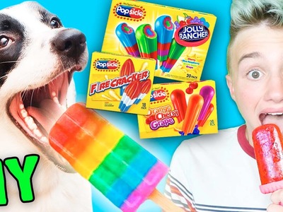 DIY Popsicle for DOGS! And People, Probably
