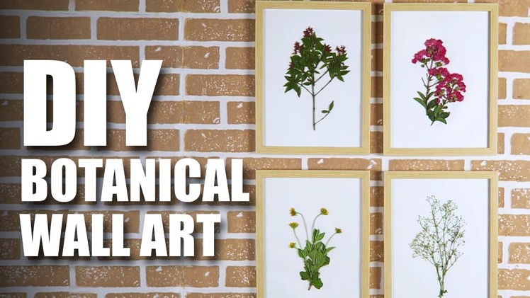 Mad Stuff With Rob - DIY Botanical Wall Art | Room Decor Ideas