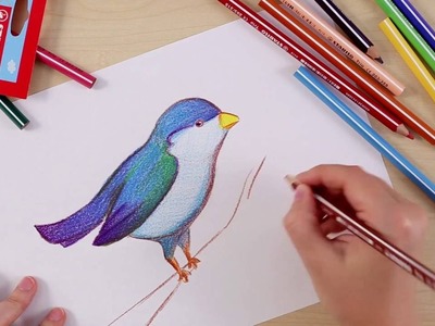 How to draw a bird (STABILO Tutorials, intermediate)
