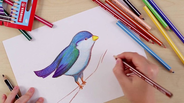 How to draw a bird (STABILO Tutorials, intermediate)