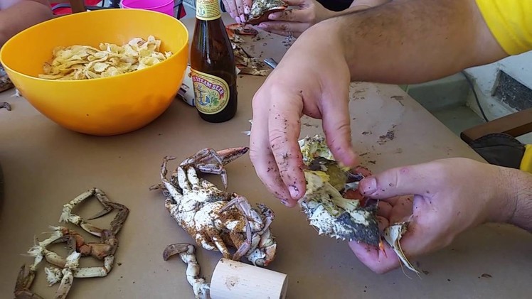 How to properly eat Maryland Blue Crabs!