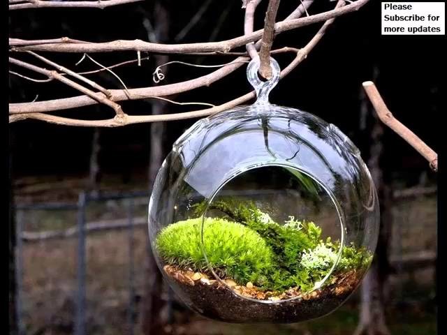Diy Terrarium Holiday Glass | Picture Collection Of Jar Vase For Christmas Decoration | Glass Craft
