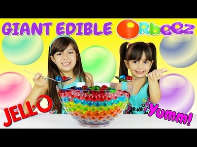 EDIBLE ORBEEZ - DIY Giant Gummy Orbeez! Jelly Pudding