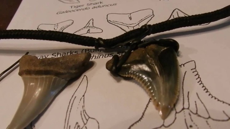 How to Mount a Sharks Tooth on a Necklace