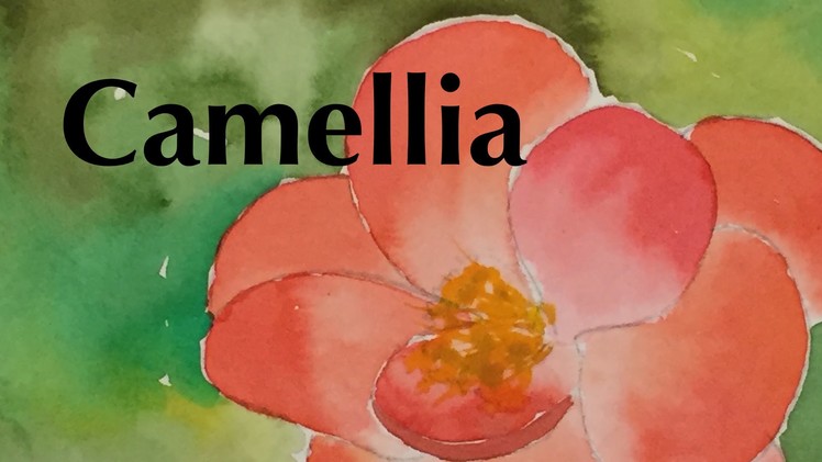 How to Paint a Camellia in Watercolor Tutorial Watercolour Flower
