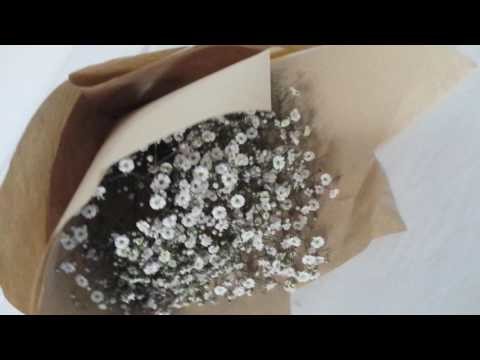 Baby's breath Flower Bouquet with Brown paper Wrapping