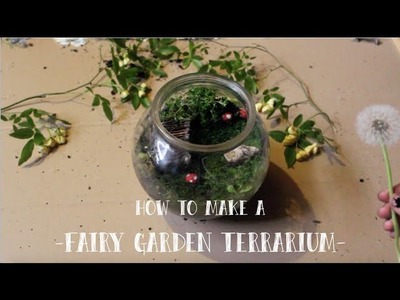 Fairy Garden Terrarium DIY