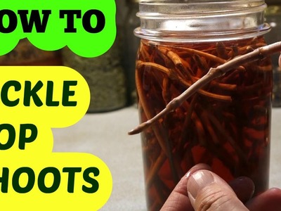 Hops: How to Pickle Hop Shoots