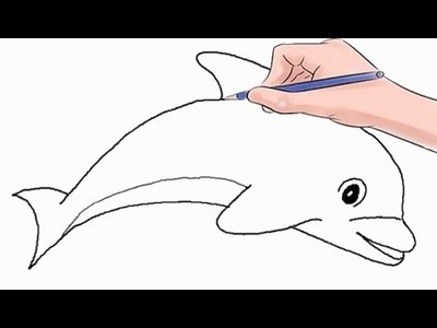 How to Draw a Dolphin Easy Step by Step