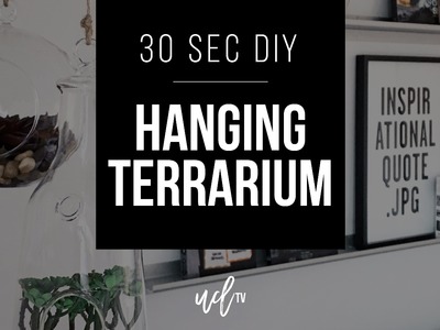 30 Second DIY: Hanging Terrarium