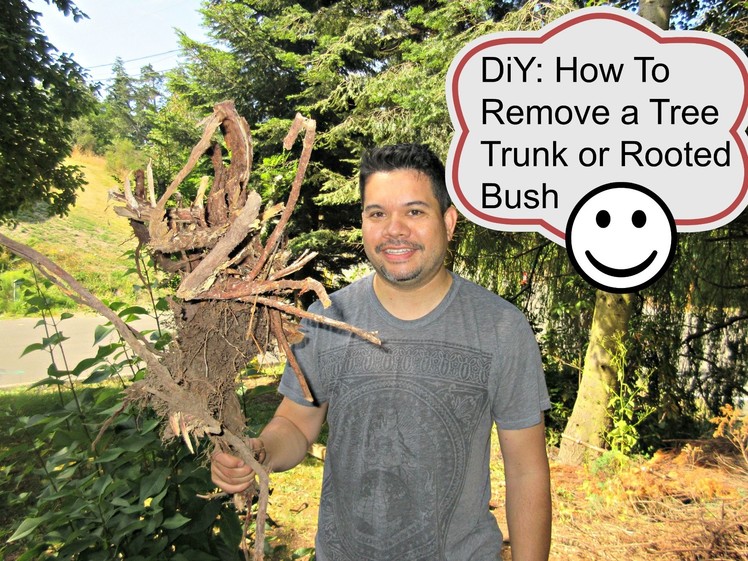 DiY: How to Remove A Tree Trunk or Rooted Bush  | aSimplySimpleLife