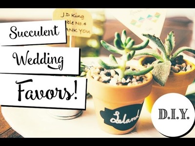 DIY Wedding Favor || Dream Wedding Succulent Favors || Wedding Ideas
