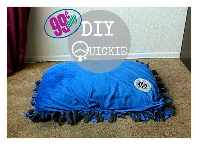 DIY Quickie| 99 cents only Dog Pillow