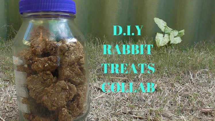 DIY Rabbit Treats(Collab)