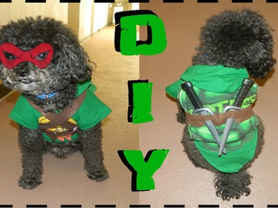DIY Teenage Mutant Ninja Turtle Dog Costume (No Sew)