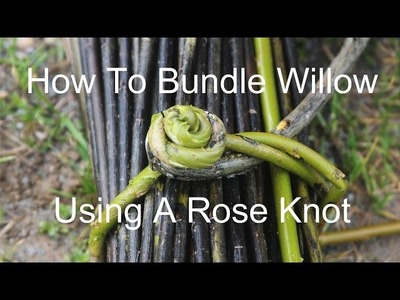 How to bundle willow using a rose knot